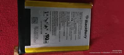 blackberry