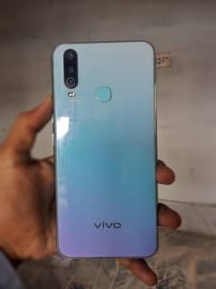 VIVO