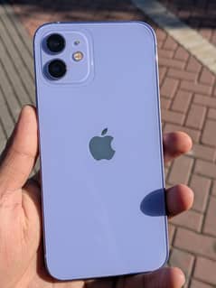 iPhone 12 Brand new