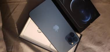 12 pro max