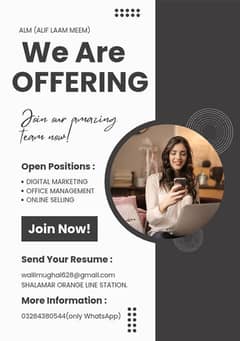 WE ARE OFFERING OFFICE WORK FOR MALE FEMALES.