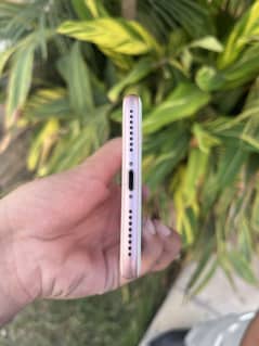 iPhone 7plus PTA