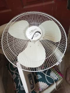 sonex