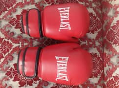 Everlast boxing gloves in good condition and in low price
