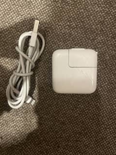 Apple Ipad Mini 5 ka 100% Original Box Pulled Charger hy