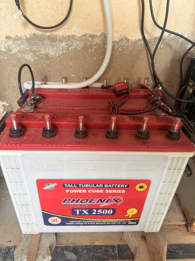 Phoenix TX2500 - Batteries - 1104008374