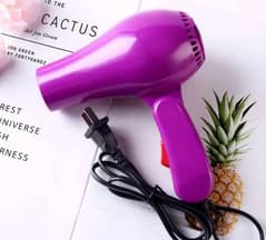 lightweight and portable Hair Dryer