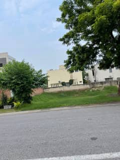 dha