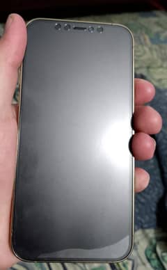 iPhone 12 pro Non Pta 256 gb battery 74%