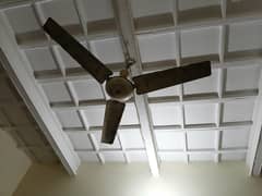 Ceiling Fan for sale.