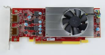 amd