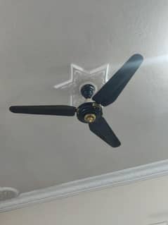 2 Ceiling Fans