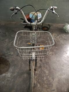 Chinese cycle