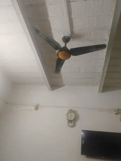 Solar Fan. 5month used , almost new solar fan for sale.