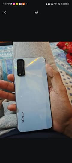 Vivo