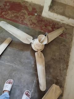2 adad ceiling fans for sale