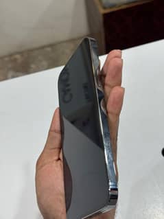 iPhone 13promax