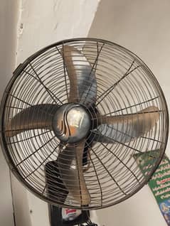 tamiour fans