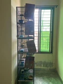 birds cage all ok new in condition