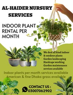 Indoor Plants Landscaping | Fountain | Garden design