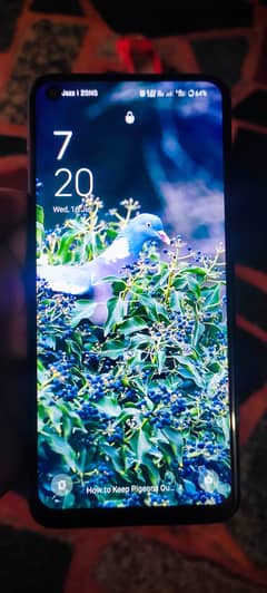Opoo f19 pro. . . penal change work All okk. 03436006588 watsspp only