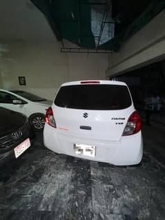 Cultus vxr  2020