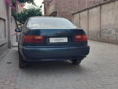 Honda civic dolphen