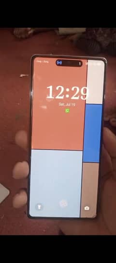 M.