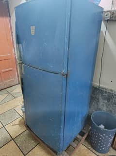 fridge full size