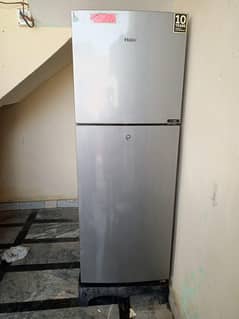 whatsapp contact 03105974703
