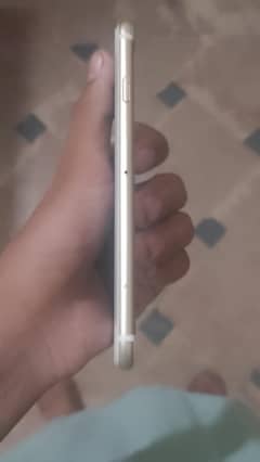 iphone 6