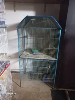 bird cage