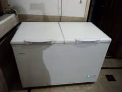 for sale candishon 10/10