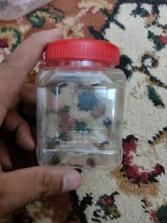 masala