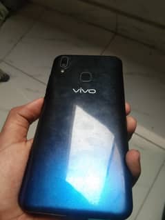 vivo