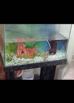 Aquarium for sale