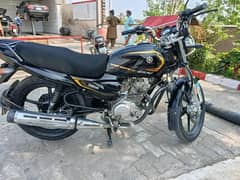 Ybr