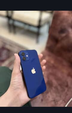 iPhone 12 10/10 condition