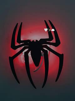 •SPIDER