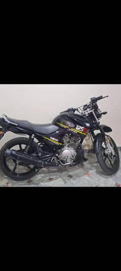 Yamaha YBR