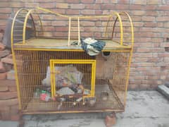 Raow Bird Cage + Box