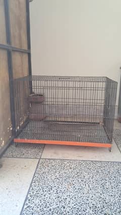 Folding Cage with box