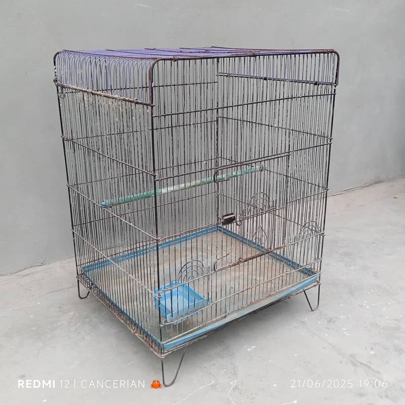 Bird Cage 0