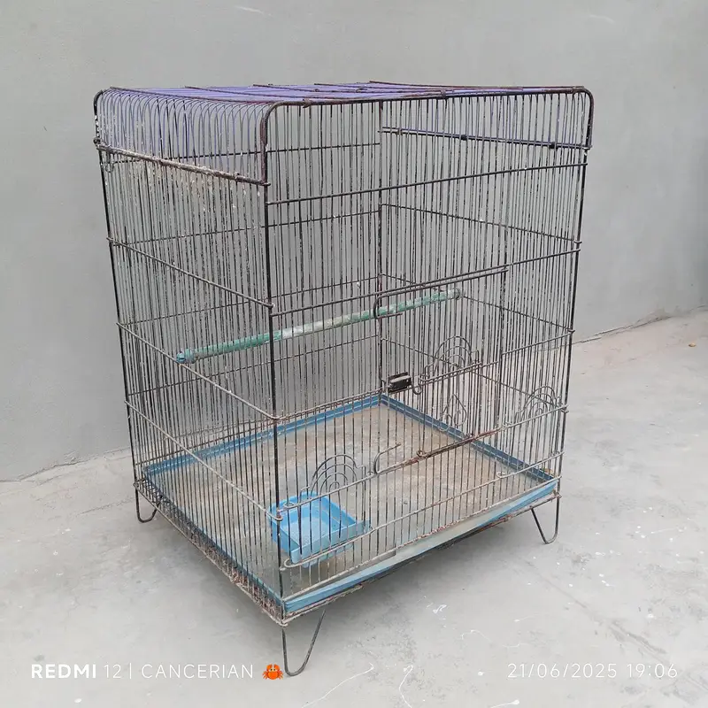 Bird Cage