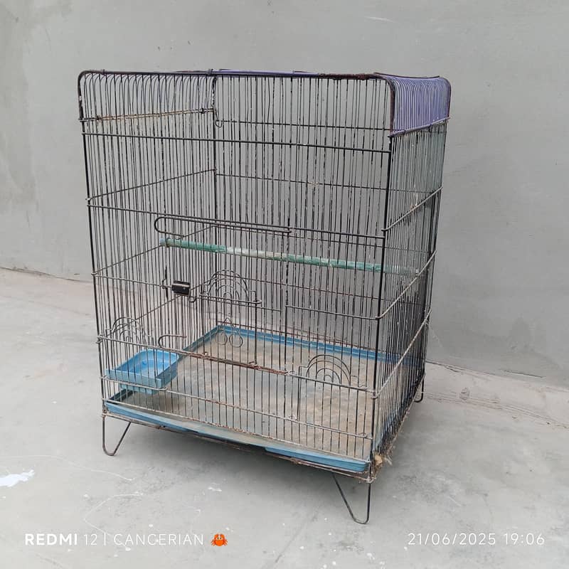 Bird Cage 1
