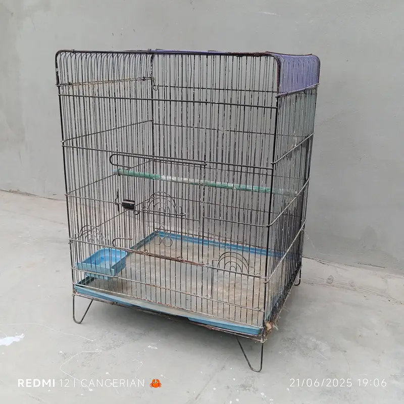 Bird Cage — photo 2