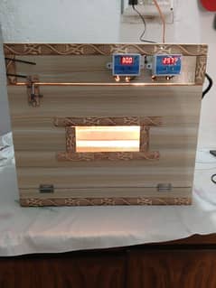 incubator semi automatic 100 eggs