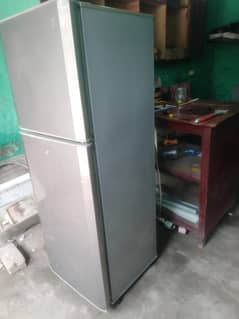 pel medium size