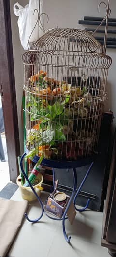 Iron round cage with stand