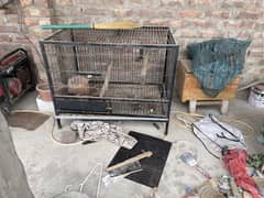 Cage Available